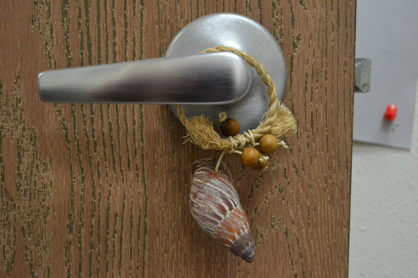 Brown Conch Seashell Hanger Holder