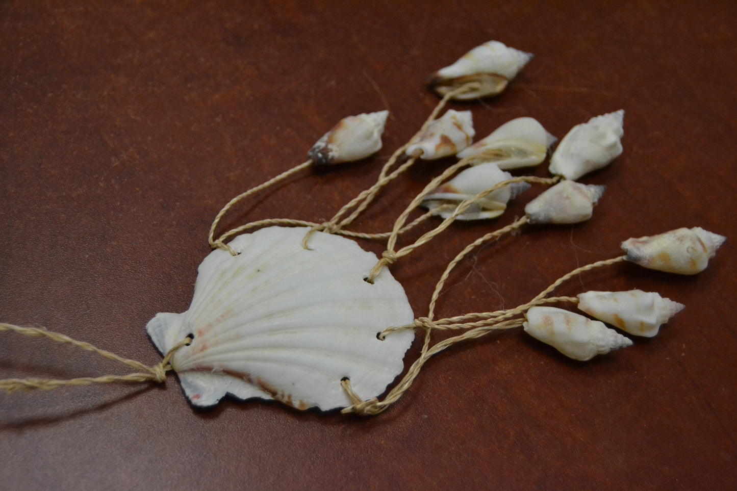 Assort White Irish Seashell Hanger Beach Decor
