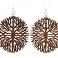 Below the Root Earrings #1599