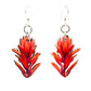 Indian Paint Brush Blossoms #174