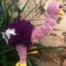 12” Ostriches puppet marionette