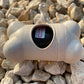 DogBone Poop Bag Dispenser with Bags