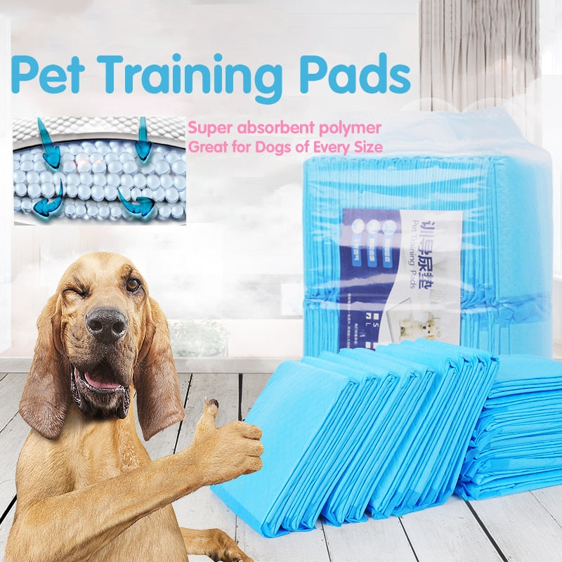 All Day Premium Dog Training Pee Pads 6-layer Ultra Absorbent Diaper