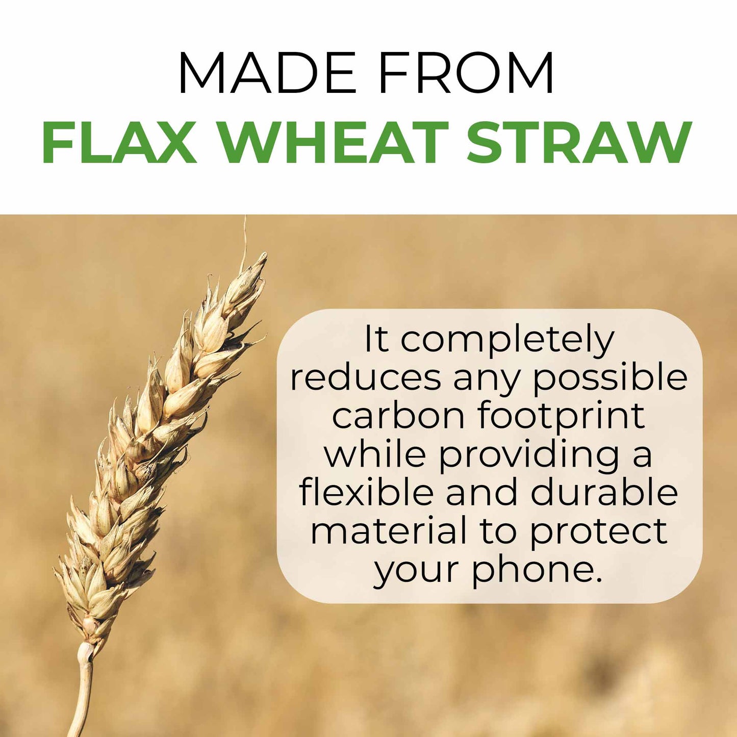 Biodegradable Personalized Phone Case - Natural White