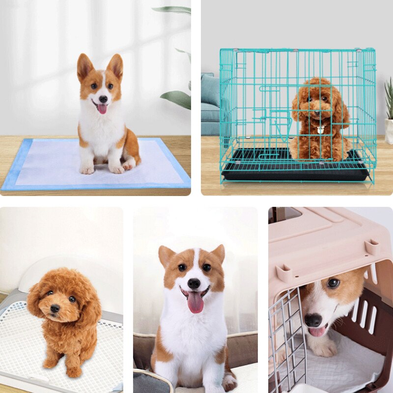 Pet Training Pads Super Absorbent Diaper for Dogs Dog and Puppy Leak