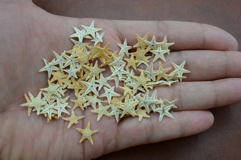 90 Pcs Tiny Small Starfish Seashells