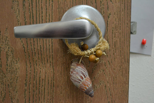 Brown Conch Seashell Hanger Holder