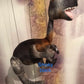 16" T- Rex dinosaur puppet marionette