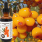 100% Pure Sea Buckthorn Fruit, Berry Oil (Cold
