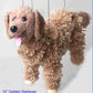 Golden Retriever and Labrador dog puppet marionette