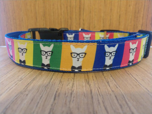 Leash/ Large/  Hipster Llamas